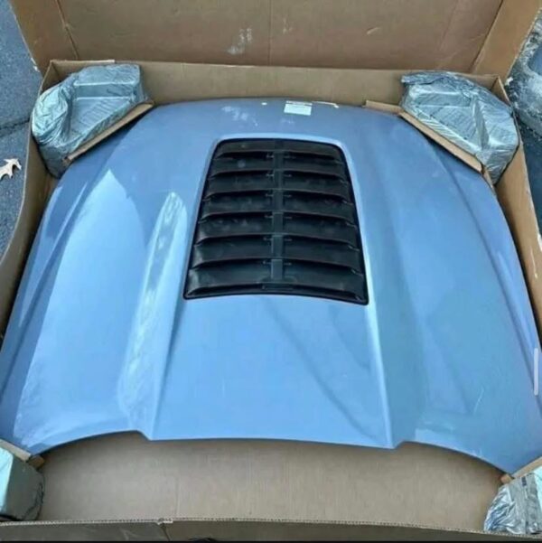 Cervini GT500 mustang hood 15-17