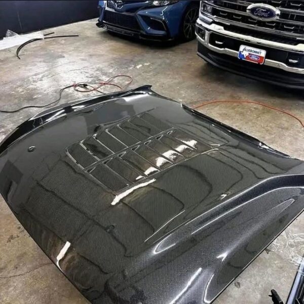 Carbon fiber Anderson Composite gt500 hood